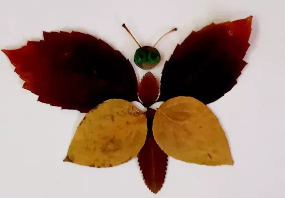 Plastic Butterfly (izithombe ezingama-31): Ungayenza kanjani ngamaqabunga ezingane ngesinyathelo? Ungazenza kanjani izigaba zevemvane elihle nge-sid? Kuhlaba umxhwele izingane ezingama-3-4 neminyaka engama-5-6 27227_28