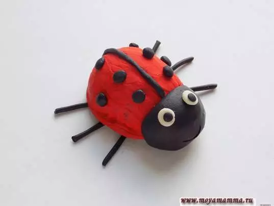 Ladybug a plaszticinból (40 fotók): Hogyan lehet az IT gyermekeket a dióból és a műanyagból lépésenként? Hogyan készítsünk egy fecsepést egy gesztenyével? Modellezés a karton és az alma 27228_25