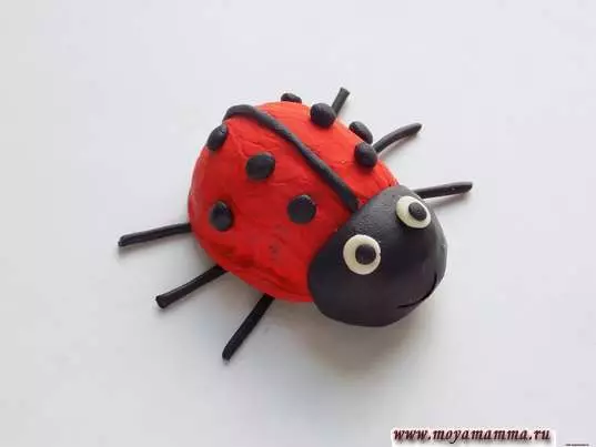 Ladybug mula sa plasticine (40 mga larawan): Paano gumawa ng mga bata mula sa Walnut at plasticine step-by-step? Paano gumawa ng mga yugto na may kastanyas? Modeling sa karton at Apple. 27228_25