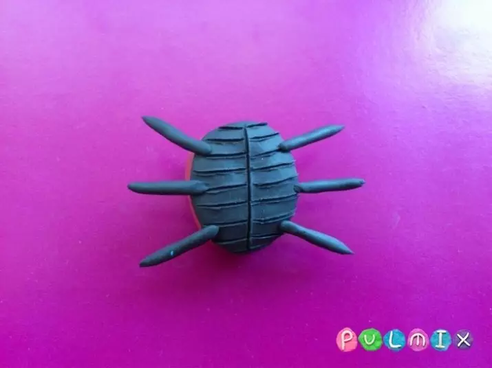 Ladybug z plastelínu (40 fotografií): Ako to, ako to urobiť deti z orechu a plastenín krok za krokom? Ako urobiť etapy s gaštanom? Modelovanie na kartón a Apple 27228_8