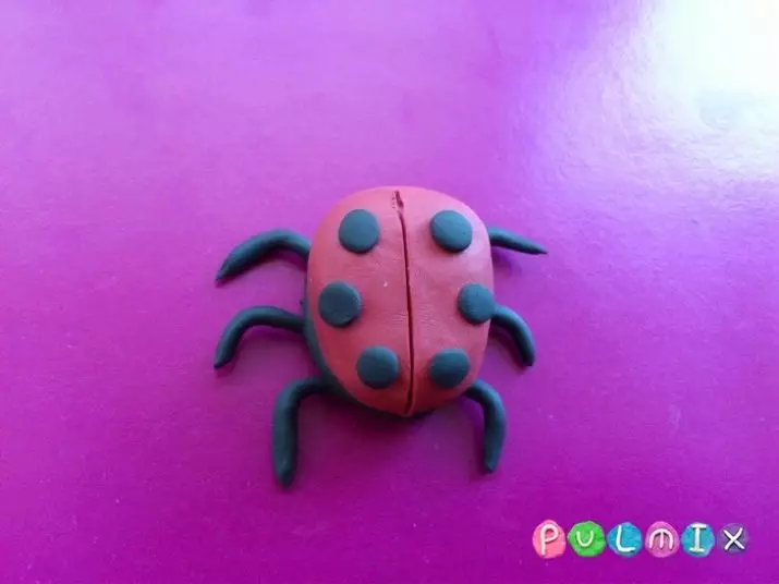 Ladybug plasticine (40 تصاویر): یہ کس طرح اخروٹ اور plasticine قدم بہ قدم سے بنانے کے لئے؟ ایک شاہراہ کے ساتھ مراحل کیسے بنانا؟ گتے اور ایپل پر ماڈلنگ 27228_9