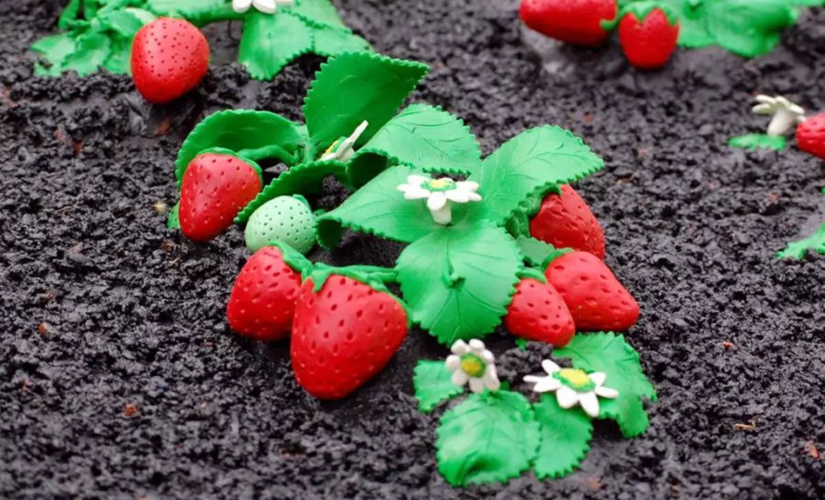 Strawberry kubva papurasticine: Maitiro ekuita kuti vana vadiki vafambe nhanho nhanho? Chii chaunoda kuti ubonese?