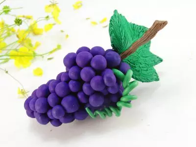 Uvas de plastilina: modelado de follas para nenos. Como facer un grupo de uva coas súas propias mans paso a paso? Como facelo en cartón? 27234_3