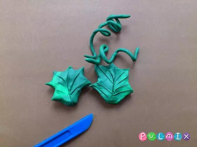 Grapes from plasticine: Sheet modeling for children. How to make a grape bunch with your own hands step by step? How to make it on cardboard? 27234_7