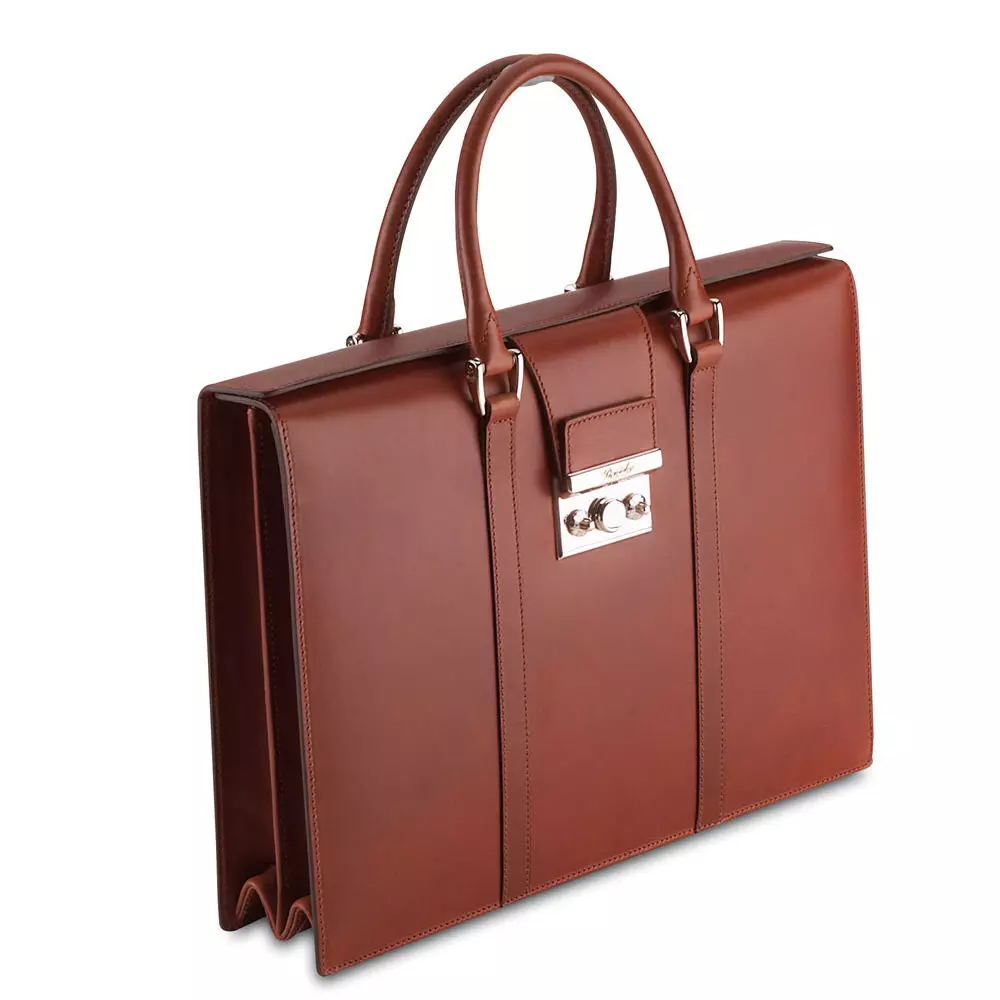 Bag-Portfolio (72 argazki): negozioen ereduak 2725_53