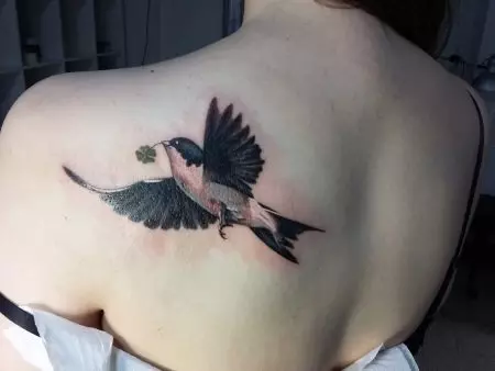 Татуировка с лястовици (45 снимки): смисъл и скици, татуировки по шията на момичетата и върху ключалката, на ръка на китката и рамото, крака и върху други части на тялото 278_22