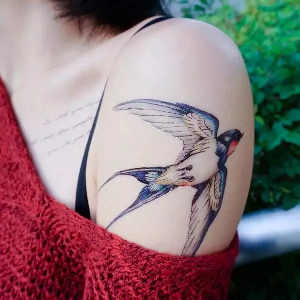 Татуировка с лястовици (45 снимки): смисъл и скици, татуировки по шията на момичетата и върху ключалката, на ръка на китката и рамото, крака и върху други части на тялото 278_24