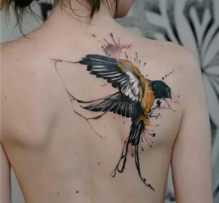 Tattoo med svallar (45 bilder): mening och skisser, tatueringar på nacken av tjejer och på nyckelbenet, på handen på handleden och axeln, benet och på andra delar av kroppen 278_27
