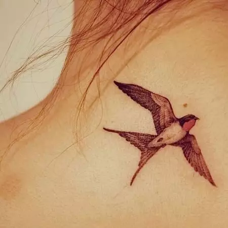 Tattoo Swallows (45 kuvaa): Merkitys ja luonnokset, tatuoinnit tyttöjen kaulasta ja soluista, kädessä ranteen ja olkapään, jalan ja muiden kehon osissa 278_32