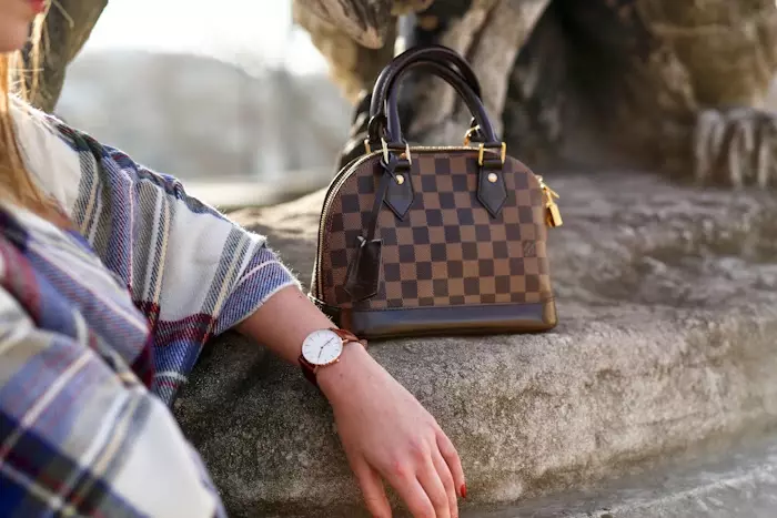 Louis vuitton sumkalary (100 surat): louis fuitton adalgasy, aýallar, ýol modeli, deri önümleri 2809_44