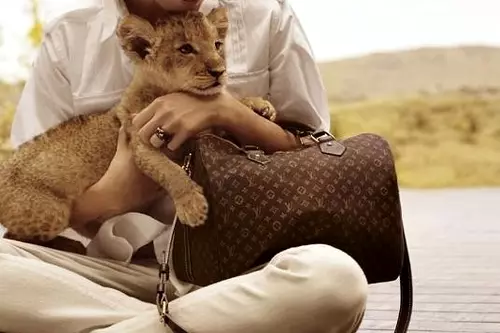 Louis Vuitton Bags (100 foto's): Louis Vuitton Original, Dames, dykmodel, learprodukten 2809_55
