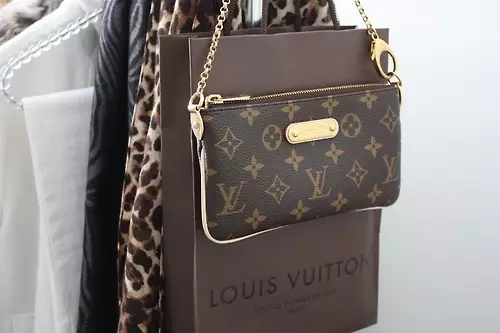 កាបូបរបស់ក្រុមហ៊ុន Louis Vuitton (100 រូបថត): Louis Vuitton ដើម, ស្ត្រីគំរូផ្លូវ, ផលិតផលធ្វើពីស្បែក 2809_65