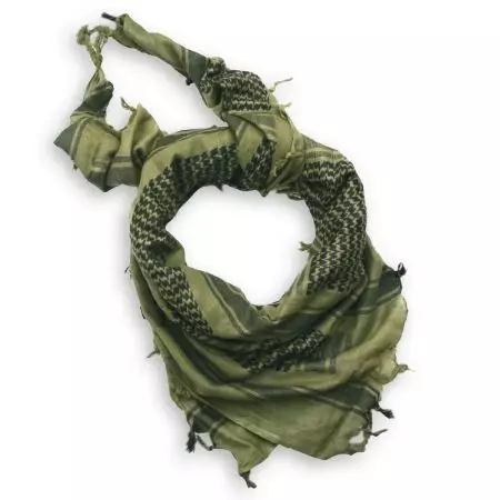 Araphak Scarf (57 fotografija): Kako povezati Aranfant na vratu, na mojoj glavi 2844_35