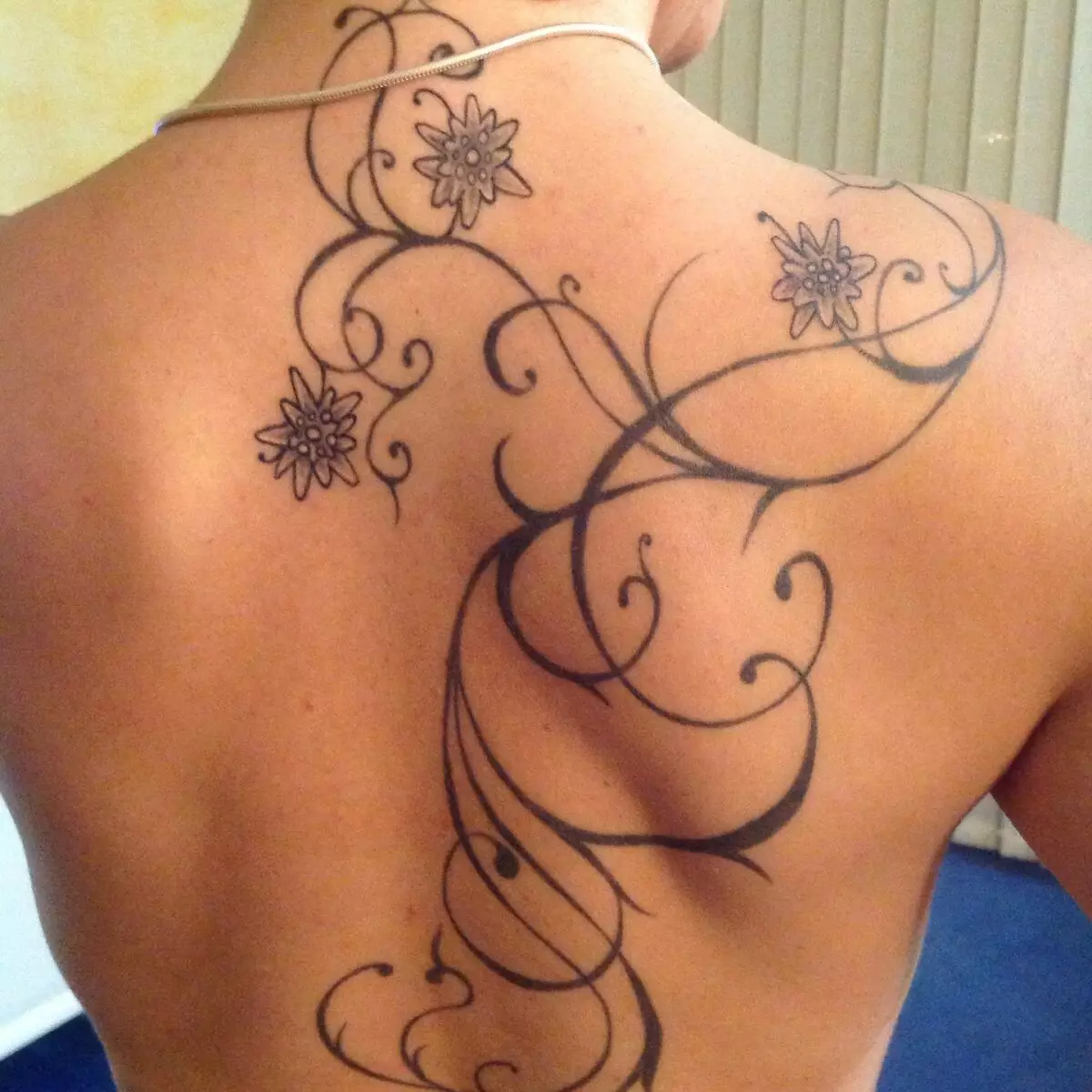 MeHendi na zadní straně (32 photos): Dámské kresby Henna a mužů, tetování na horní části zády a dolní části zad, Světle skici Mehendi ve formě křídel a dalších možností 293_25