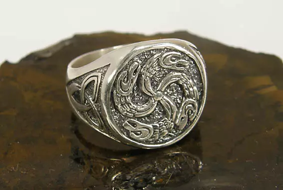 حلقه های اسلاوی (77 عکس): حلقه های شخصیتی با نمادهای اسرارآمیز های باستانی و رولز، مدل های Wicker زن 3095_8