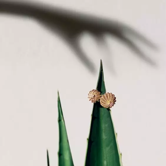 Anello Cartier (115 foto): Storia dei gioielli e revisione dei popolari modelli di trinità, chiodo, amore, costo 3102_39