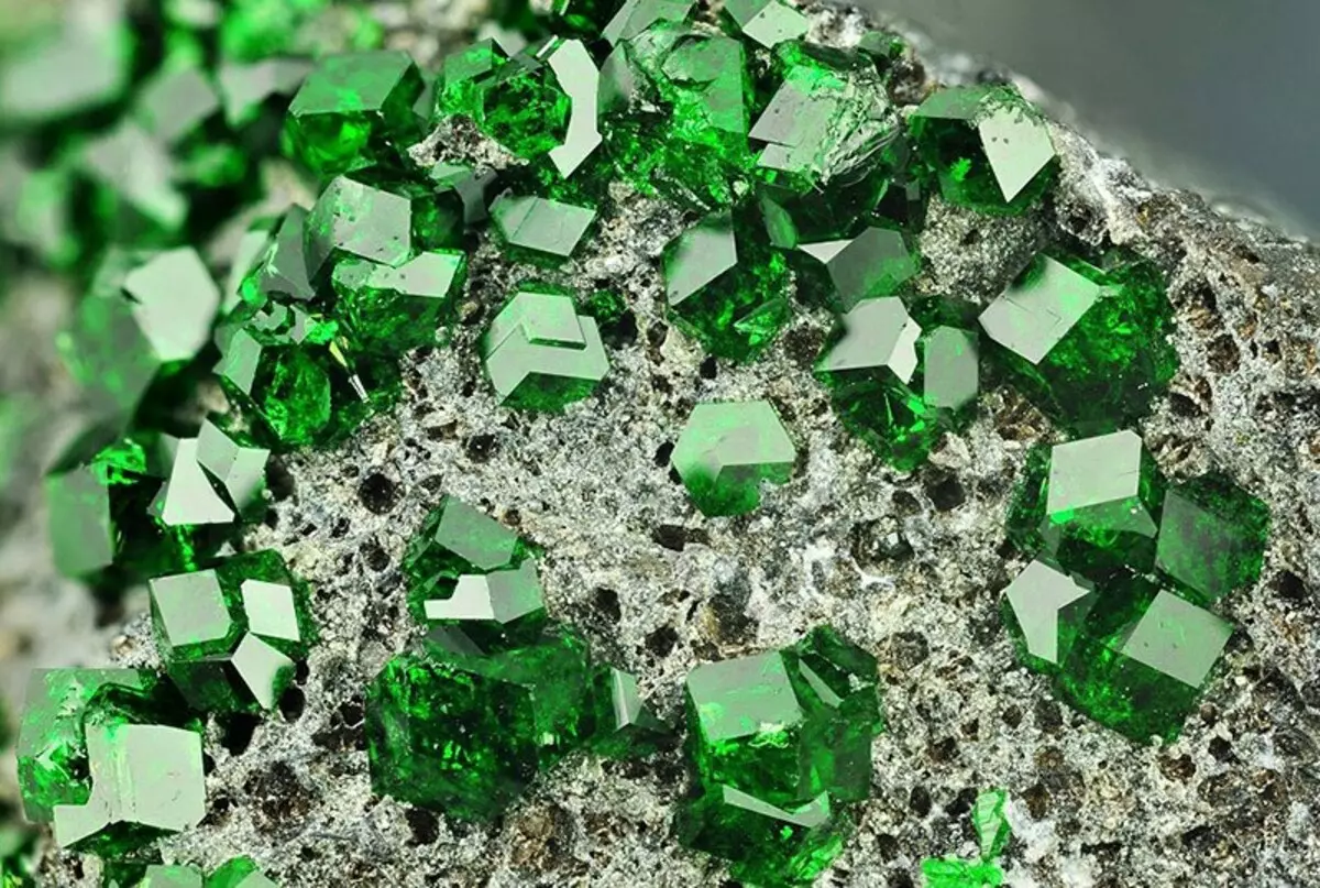 Ring nge-Emerald (izithombe ezingama-94): Indandatho yegolide neyesiliva, namacici esiliva 3115_11