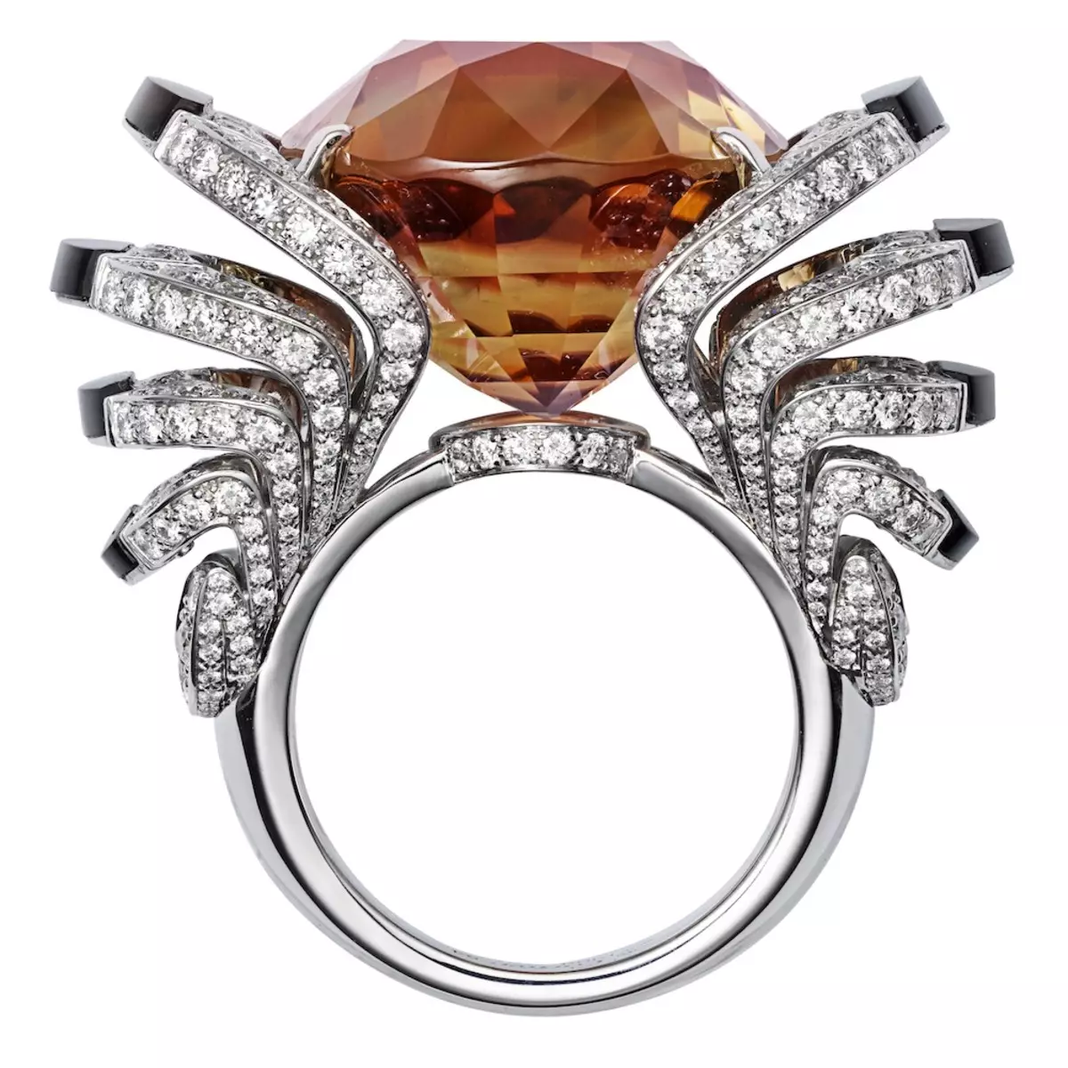 Wit goud ring met diamante (91 foto's): modelle met 'n swart klip en saffier, met briljante Placer 3121_56