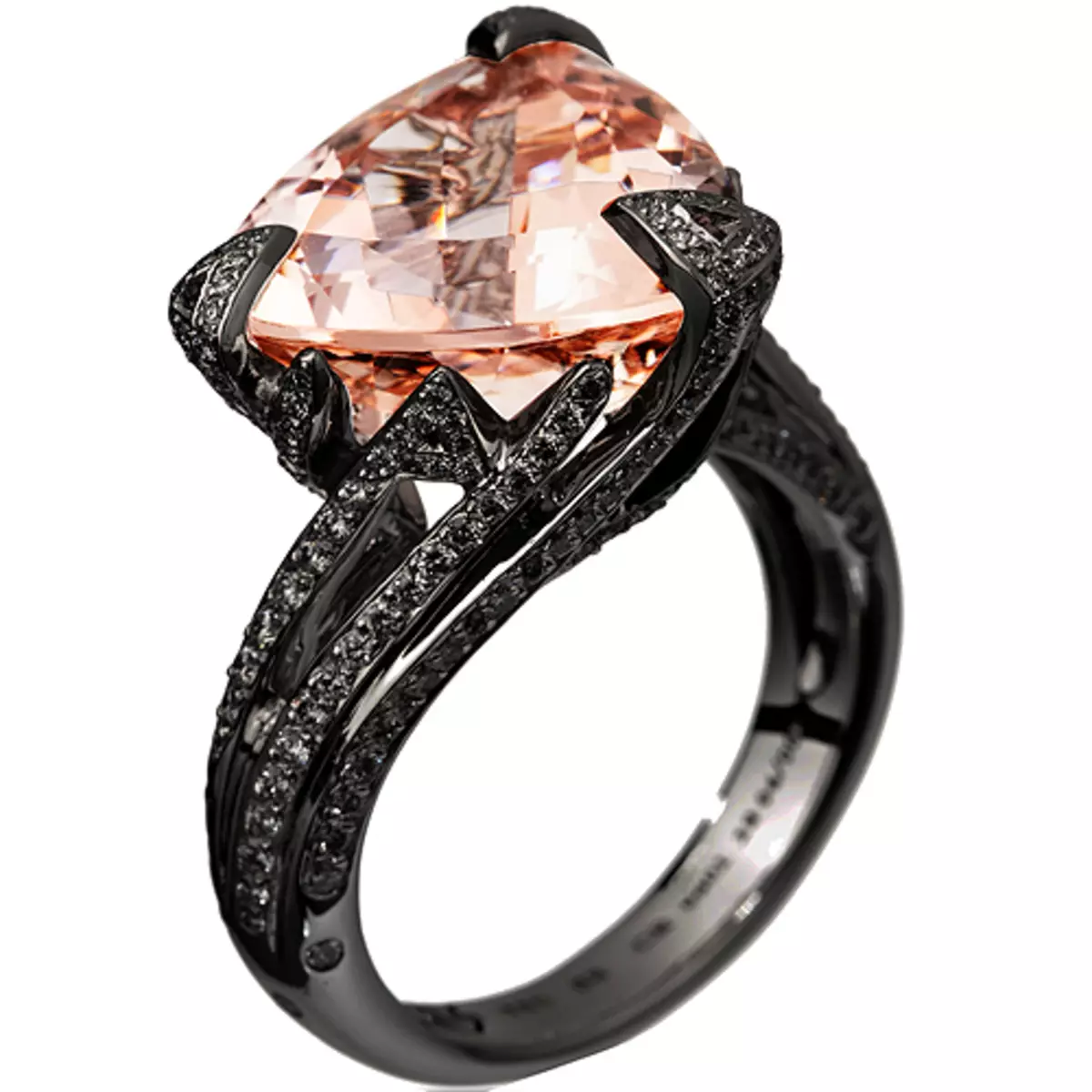 戒指與黑鑽石（51張照片）：黑色和白色石頭，帶有大鑽石和珍珠的環軌道 3162_32
