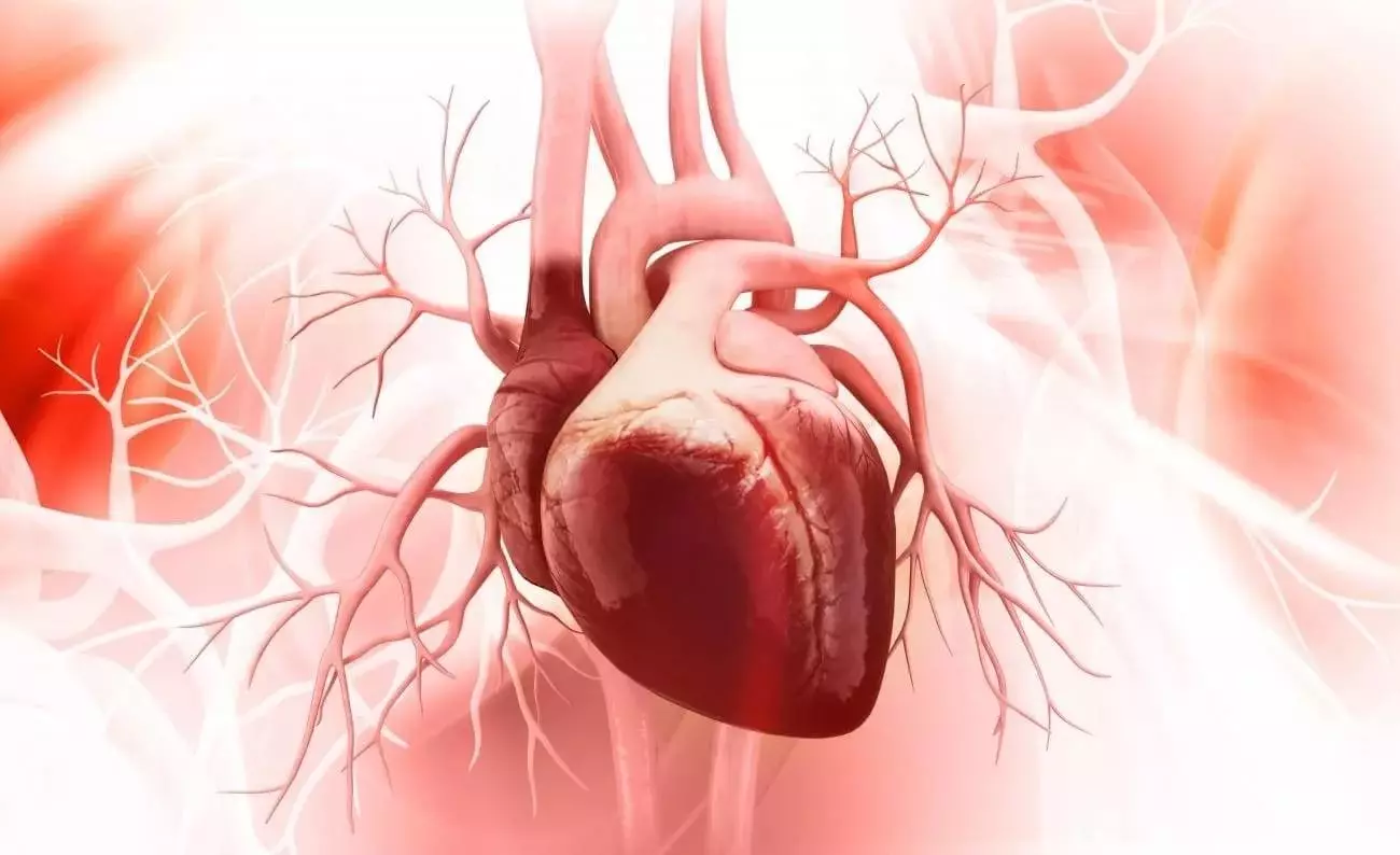 화이트 마노 (30 장의 사진) : 마술, 치료 적 및 우유 돌의 다른 속성. 누가 맞는가? 3194_7