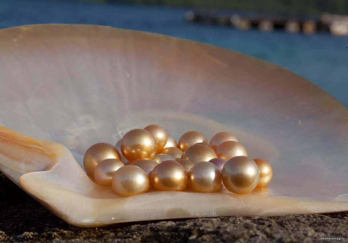 Perle cultivate: Ce este? Cum să crească o perla Kasumi, Maba și Aku acasă? 3209_15
