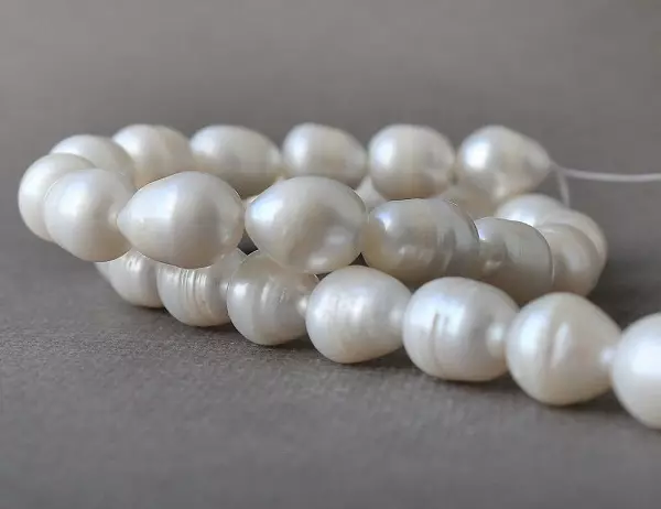 Perle cultivate: Ce este? Cum să crească o perla Kasumi, Maba și Aku acasă? 3209_16