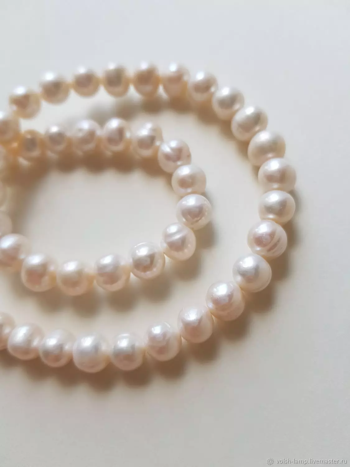 Perle cultivate: Ce este? Cum să crească o perla Kasumi, Maba și Aku acasă? 3209_23