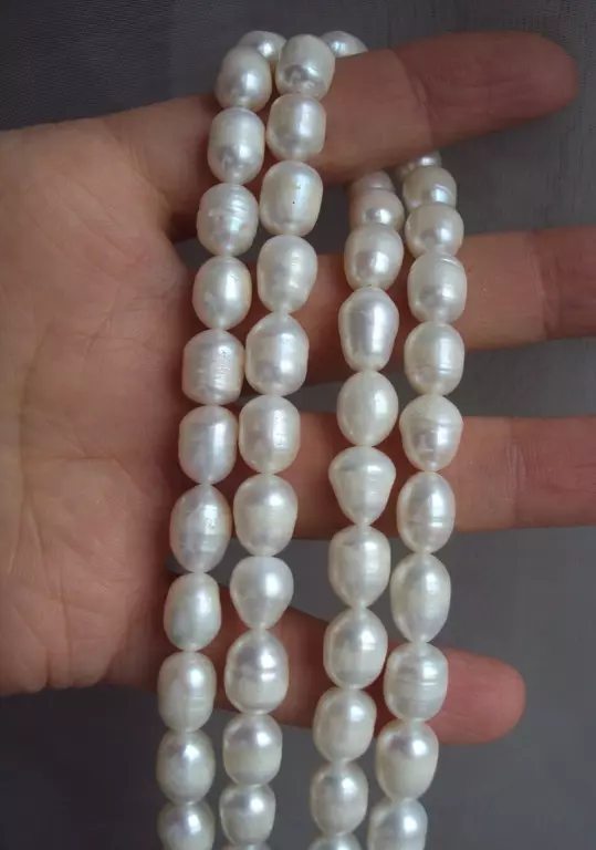 Perle cultivate: Ce este? Cum să crească o perla Kasumi, Maba și Aku acasă? 3209_24