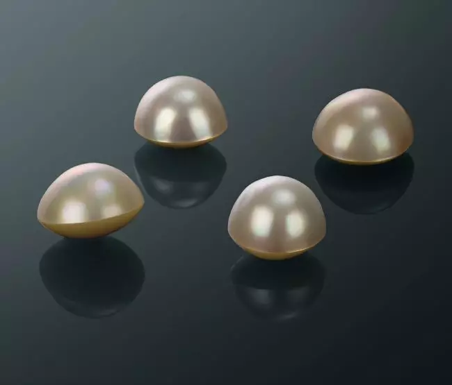 Perle cultivate: Ce este? Cum să crească o perla Kasumi, Maba și Aku acasă? 3209_34