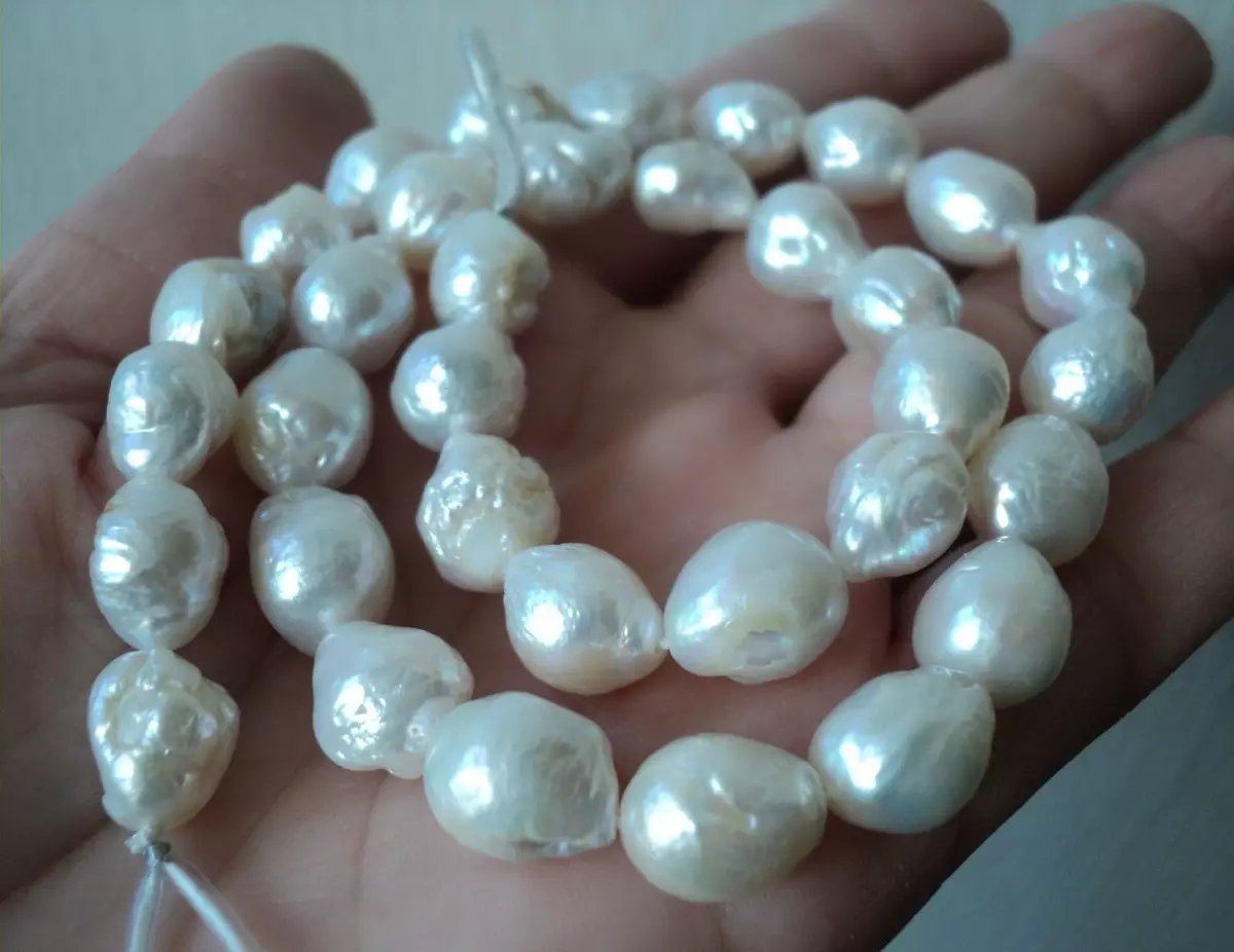 Perle cultivate: Ce este? Cum să crească o perla Kasumi, Maba și Aku acasă? 3209_37