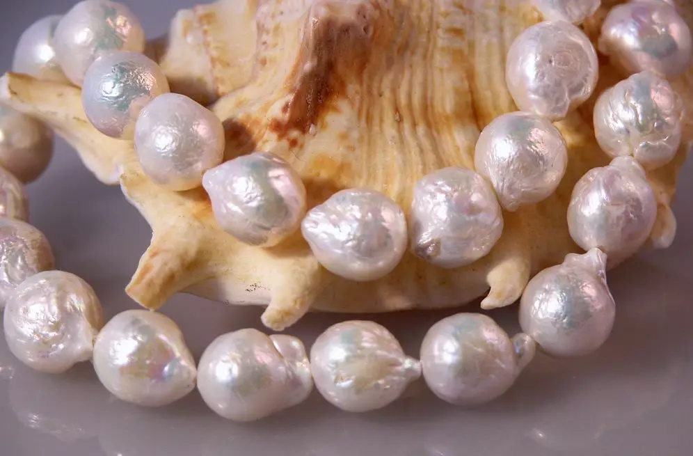 Perle cultivate: Ce este? Cum să crească o perla Kasumi, Maba și Aku acasă? 3209_6