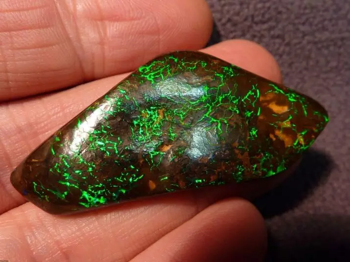 Opal (74 Foto): Apa itu? Sifat batu. Perihalan Australia dan merah jambu, biru dan lain-lain opala 3228_14