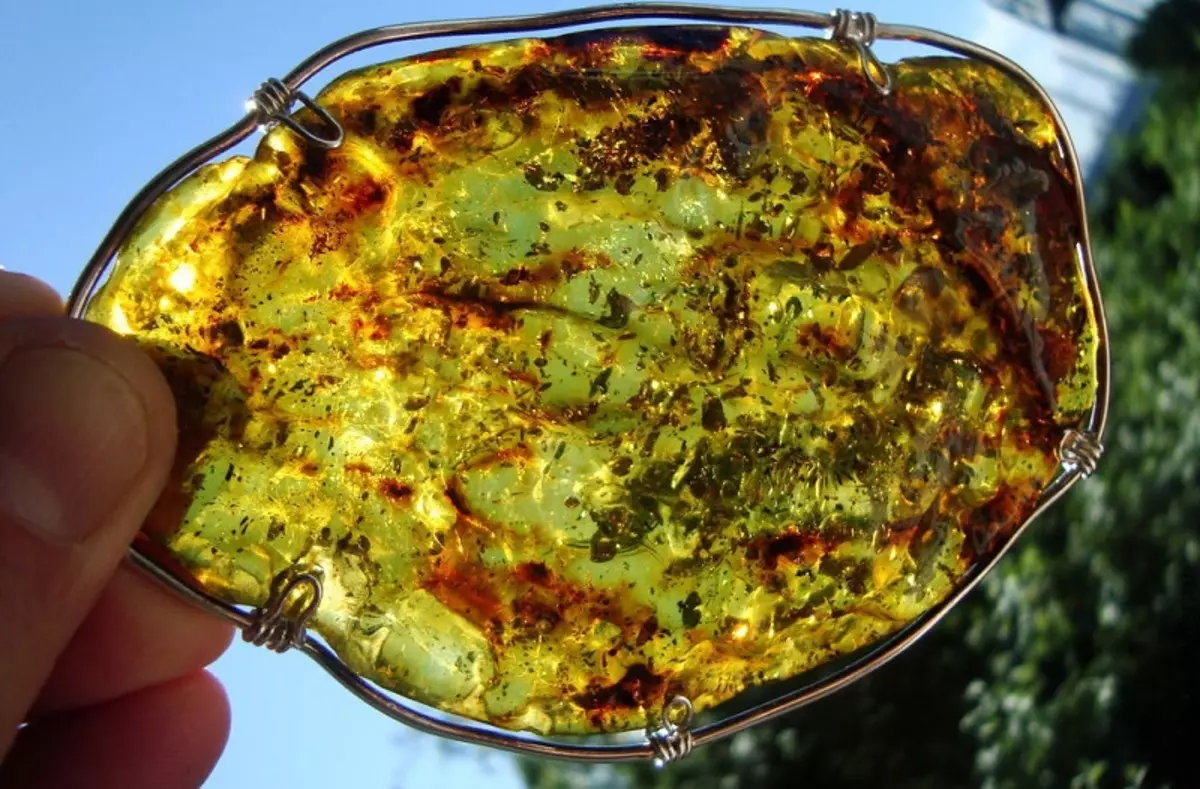 Green Amber (27 billeder): Hvad er det og hvor det er mined? Magi og terapeutiske egenskaber af gule grøn 3252_5