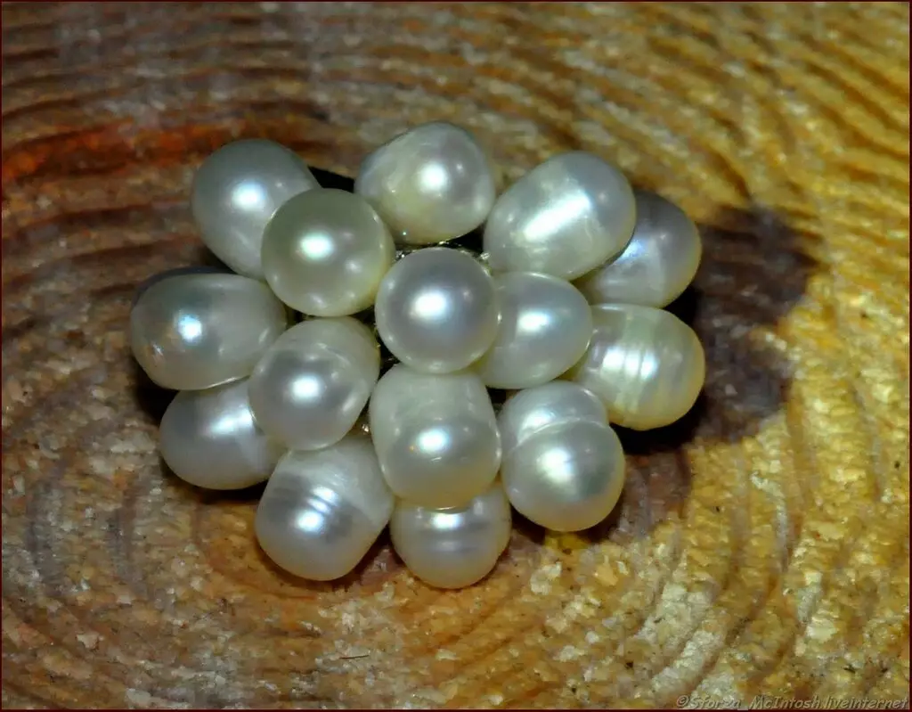 Comment distinguer les perles naturelles de l'artificiel? 37 photo Comment déterminer ce que c'est réel? Comment vérifier l'authenticité à la maison? À quoi ressemble le faux? 3255_6
