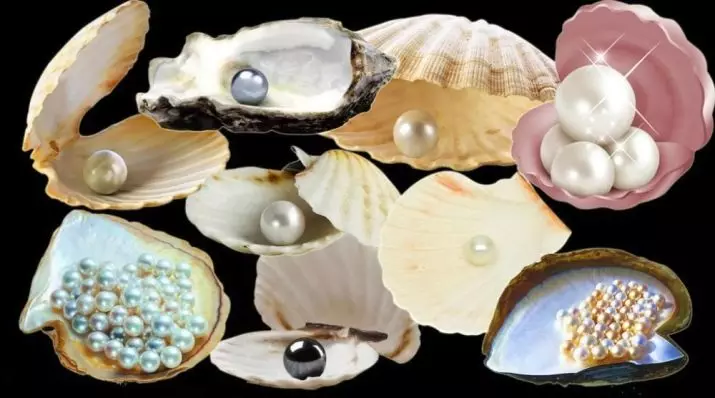 Wie haben Perlen gebildet? Wo kommt er aus den Waschbecken? Wie wächst man es? Eigenschaften der Bildung in Mollusk 3263_8