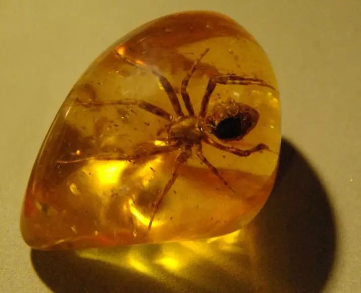 Comment distinguer l'ambre du faux? La différence entre la pierre naturelle de l'artificiel. Comment vérifier l'authenticité à la maison? 3269_9