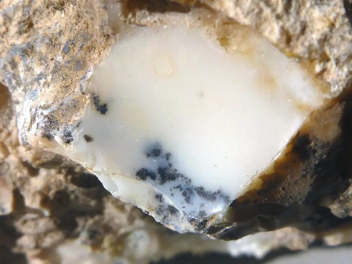 Bijeli Opal (23 fotografije): Svojstva mliječnog kamena, vrste, opis 3286_6