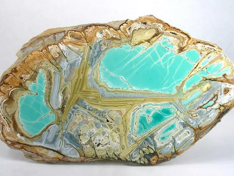 VARISCITE（29写真）：石の魔法の特性。青の変容はありますか？ 3328_6