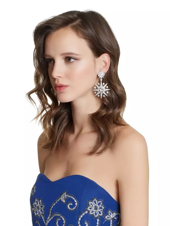 ઓસ્કાર ડી લા રેન્ટા earrings (71 ફોટા): ફેશન હાઉસથી મણકા અને ક્રિસ્ટલથી મોડેલો ઓસ્કાર ડે લા ભાડું 3361_44