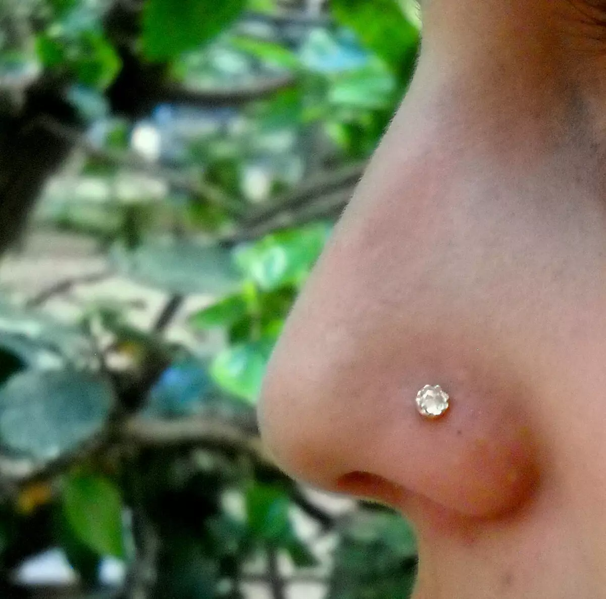 Pendientes en la nariz (101 fotos): Cómo insertar pendientes de oro en nariz, anillo, ferias y otras vistas populares 3387_39