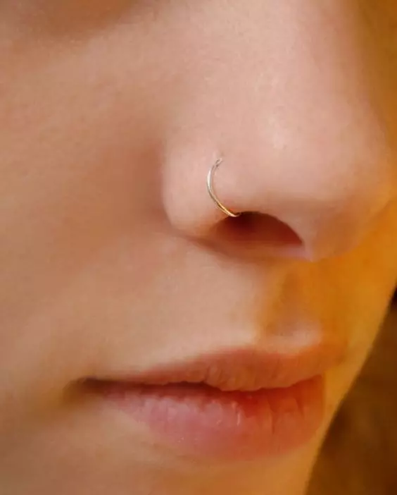 עגילים באף (101 תמונות): כיצד להכניס עגילי זהב באף, טבעת, הוגן ועוד צפיות פופולריות 3387_55