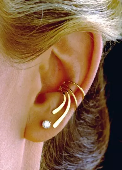 Arten von Ohrringen (69 Fotos): Was sind die Modelle für die Ohren und ihren Namen? 3389_35