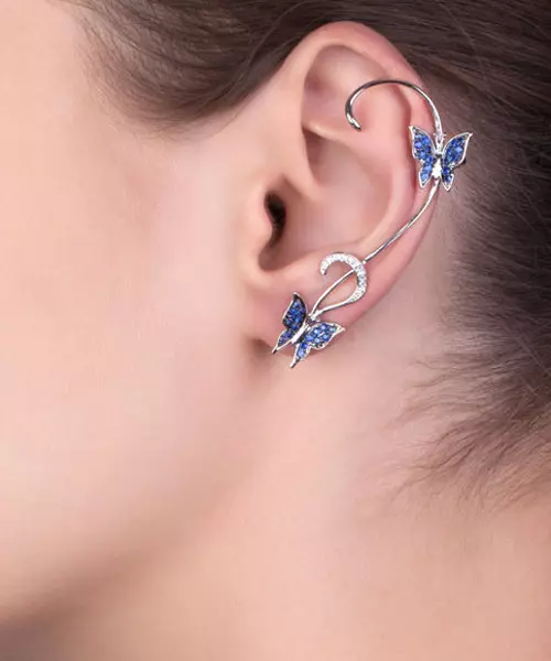 Types de boucles d'oreilles (69 photos): Quels sont les modèles pour les oreilles et leur nom 3389_50
