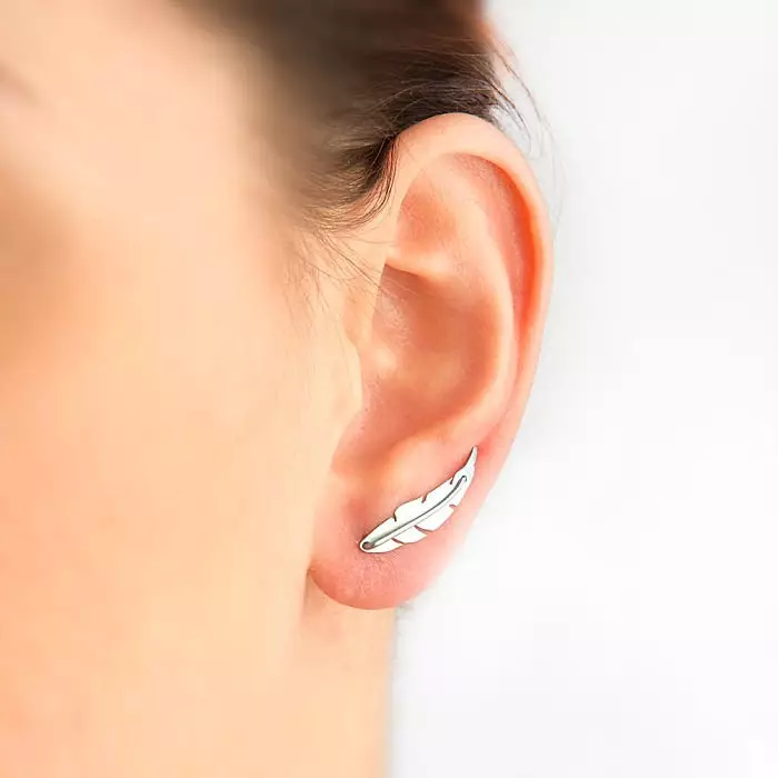 Arten von Ohrringen (69 Fotos): Was sind die Modelle für die Ohren und ihren Namen? 3389_51