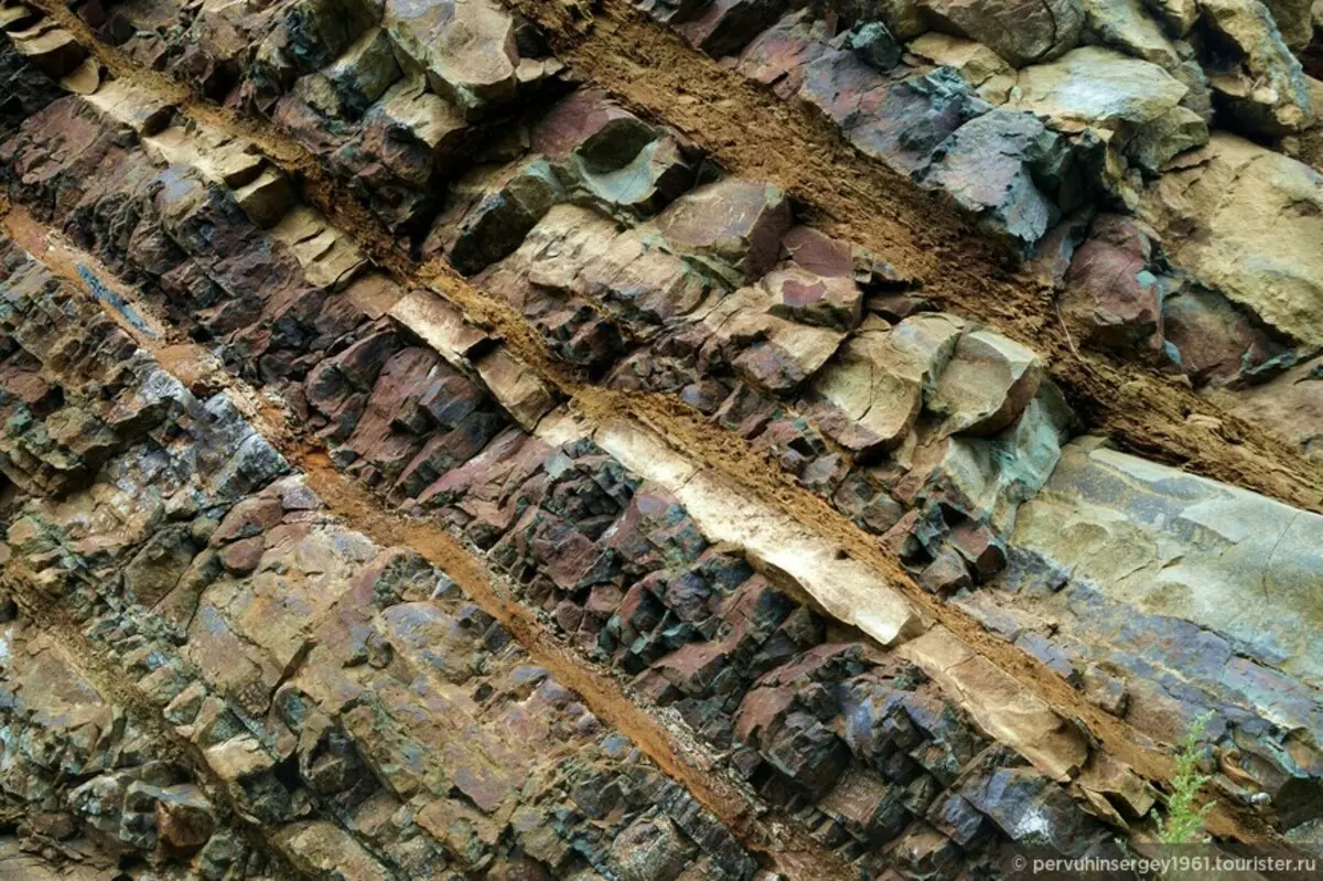 นิ้ว (45 รูป): คุณสมบัติการรักษาของหินที่อยู่อาศัยของความขาวการใช้ Rostrov ในยา ฟอสซิลดูอะไรและมองหาพวกเขาที่ไหน? 3408_10