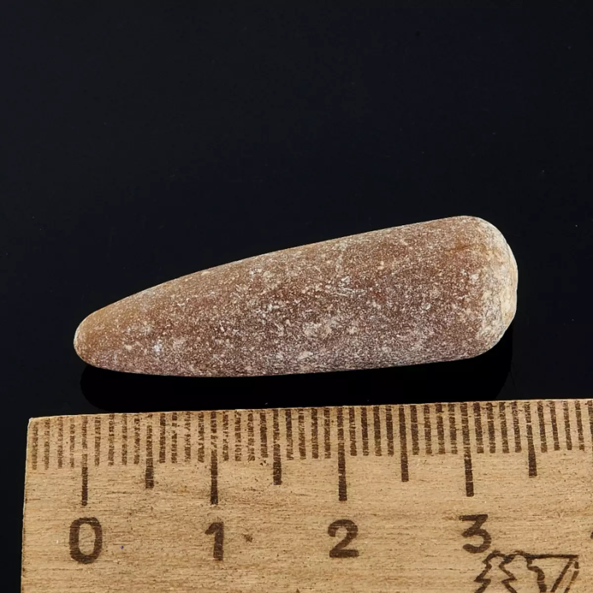 手指（45张）：石的治疗特性，白度的栖息地，在医学中的应用Rostrov的。什么是化石看，在哪里找他们？ 3408_6