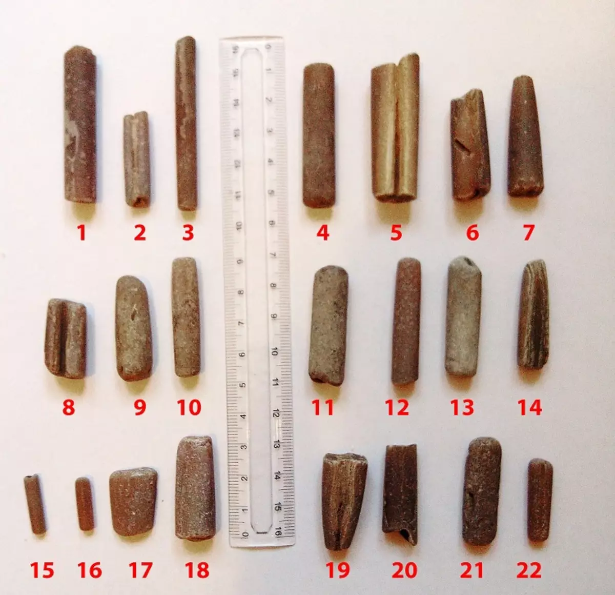 手指（45張）：石的治療特性，白度的棲息地，在醫學中的應用Rostrov的。什麼是化石看，在哪裡找他們？ 3408_7