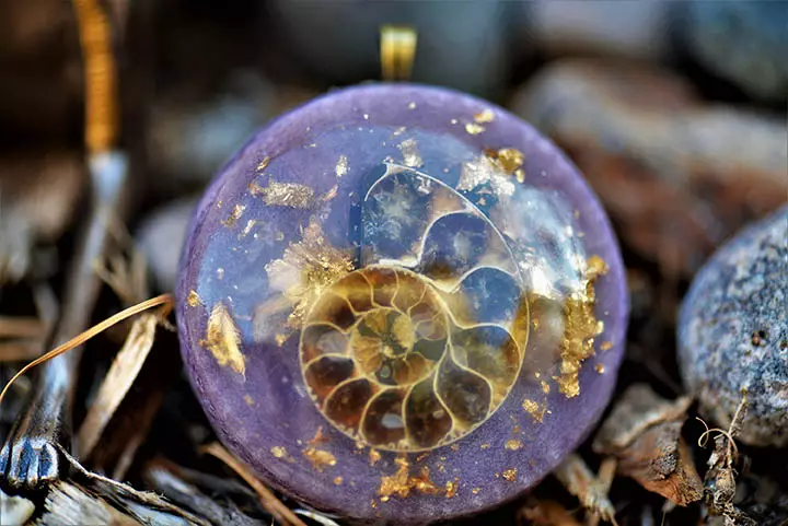 Ammonite (28 bilder): magi, helbredelse og andre egenskaper av stein. Hvor kan jeg finne det? 3414_12
