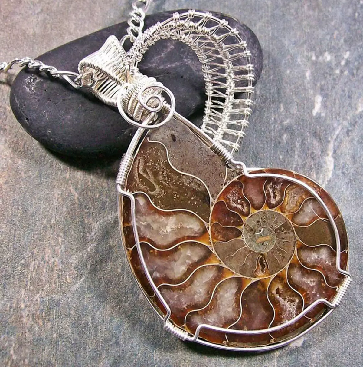 Ammonite (28 photos): magical, medicinal and other properties of the stone. Where can I find it? 3414_13