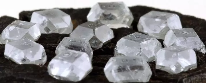 Diamonds atifisyèl (27 foto): Ki jan Diamonds sentetik grandi? Istwa a nan resi yo 3457_21